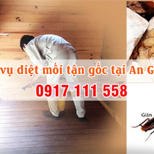 Trừ mối An Giang