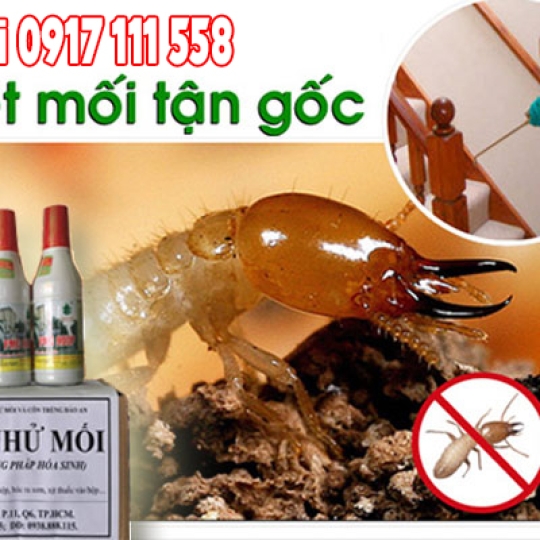 Diệt mối An Giang