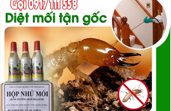 Diệt mối An Giang tận gốc | Dịch vụ uy tín – giá tốt